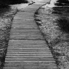 Wooden Path